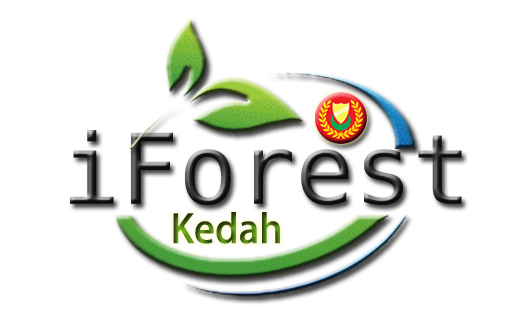 iForest